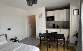 Cosy Rent Strasbourg Wifi Terrasse St Aloise
